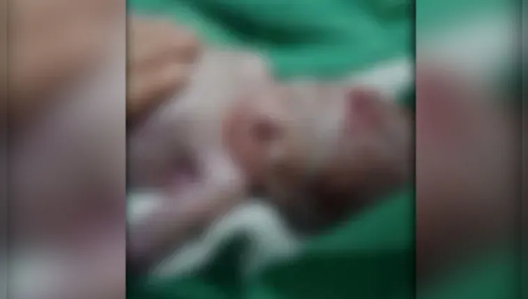 Imagem ilustrativa da notícia Funerária percebe que bebê está vivo a minutos do enterro