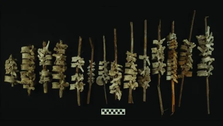 Imagem ilustrativa da notícia Vértebras humanas em espetos são encontradas no Peru