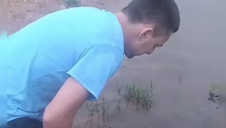 Imagem ilustrativa da notícia Vídeo: homem tenta pegar a piranha com a mão e se dá mal