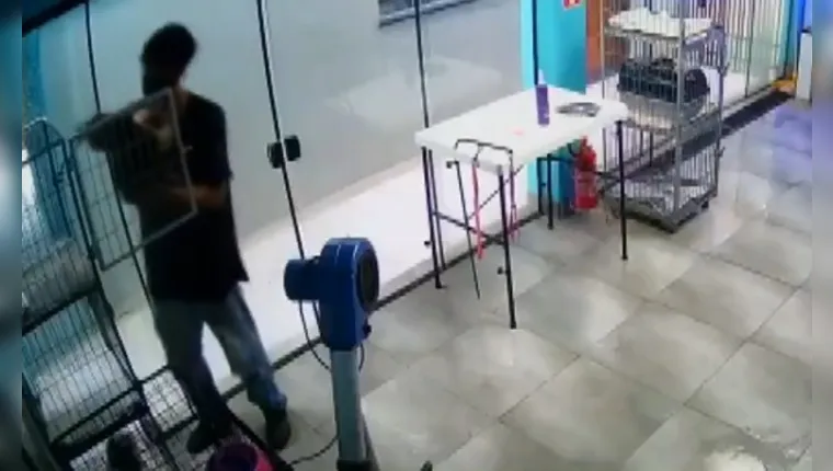 Imagem ilustrativa da notícia Vídeo: Funcionário de pet shop viraliza ao dançar com cadela
