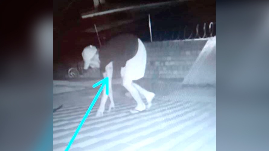 Câmeras de monitoramento capturaram o momento em que ele entraria em uma casa 