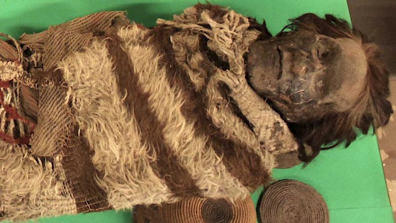 Fotografia de múmia encontrada com 'cola' de piolhos na Argentina