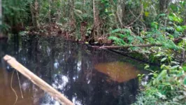 As águas cristalinas do igarapé já começam a ficar contaminadas com o óleo derramado