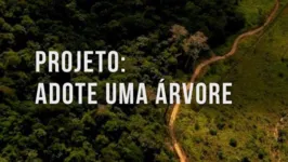 Empresas, instituições, organizações ou pessoas de qualquer lugar do mundo podem contribuir