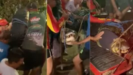 O jacaré foi colocado em uma viatura e encaminhado para o 4º Grupamento de Bombeiros Militar.