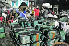 O açaí chega na feira em barcos vindos de diversos municípios do Estado e de Macapá