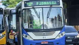 Ônibus da empresa Monte Cristo voltam a circular em Belém.