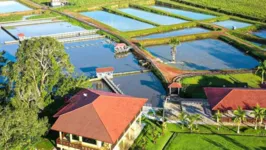 Lagos da Fazenda Santa Maria onde os peixes dos Supermercados Líder são criados