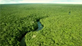 53% do território de Mato Grosso está na Amazônia