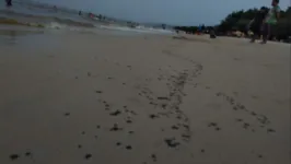 As manchas de óleo foram identificadas na praia Grande, em Outeiro.