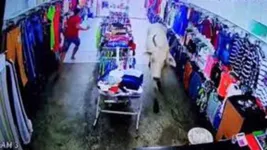 Vaca invadiu loja e assustou vendedores