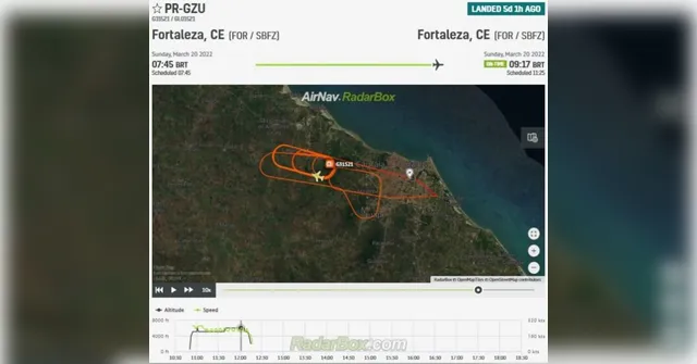 Imagem ilustrativa da notícia Avião da Gol atinge ave na decolagem e acerta outra no pouso