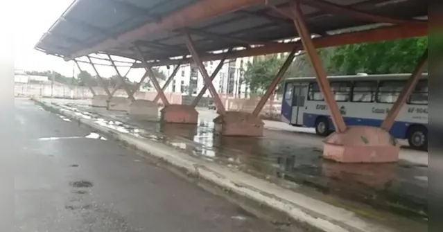 Imagem ilustrativa da notícia Vídeo: população denuncia abandono de terminal em Ananindeua