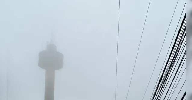 Imagem ilustrativa da notícia Grande Belém amanhece debaixo de neblina forte: veja fotos