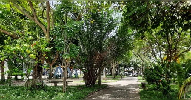 Imagem ilustrativa da notícia Moradores denunciam roubos e furtos na Praça do Jaú