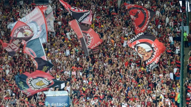 Imagem ilustrativa da notícia Flamengo quer estabilidade e sucesso português do Palmeiras