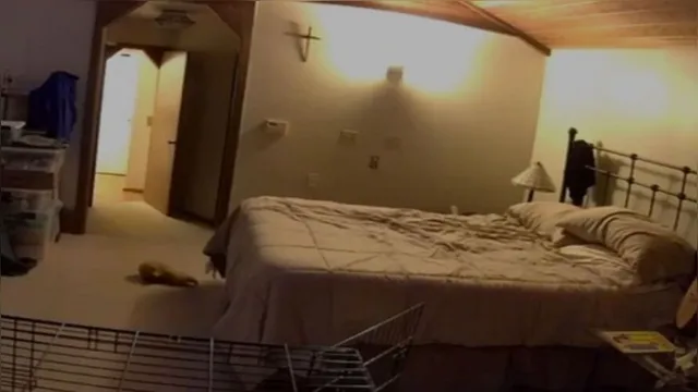 Imagem ilustrativa da notícia Homem descobre em vídeo o que acontecia no quarto ao sair