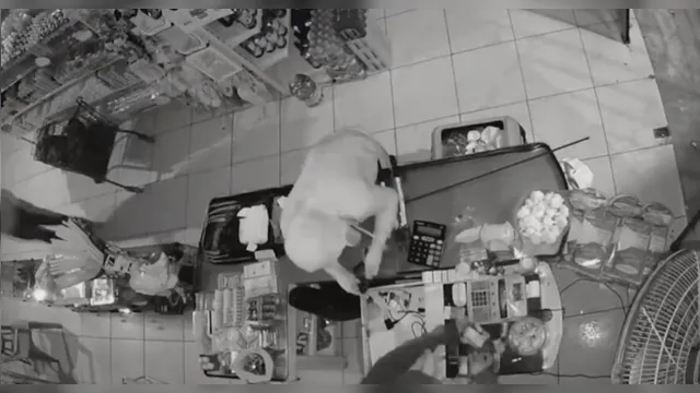 Imagem ilustrativa da notícia Vídeo: trio arromba e furta estabelecimento em Outeiro