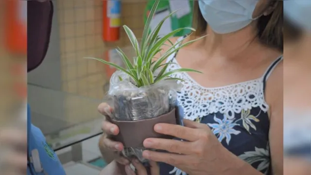 Imagem ilustrativa da notícia Pacientes recebem mudas de plantas durante alta