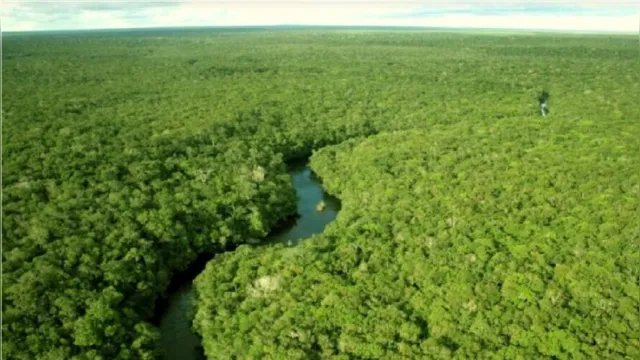 Imagem ilustrativa da notícia Retirada do Mato Grosso da Amazônia Legal causa temor