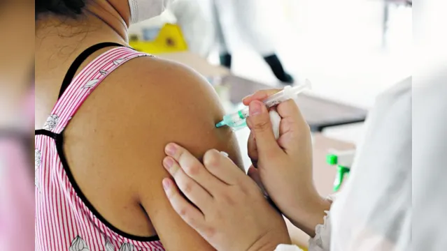 Imagem ilustrativa da notícia Veja onde se vacinar contra Covid, sarampo e gripe em Belém