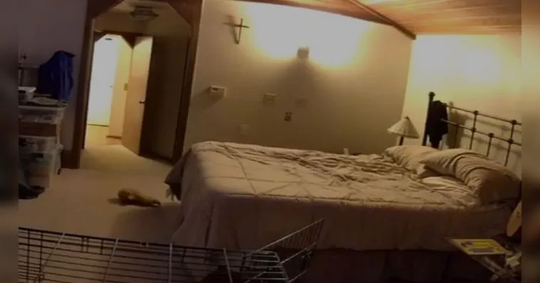 Imagem ilustrativa da notícia Homem descobre em vídeo o que acontecia no quarto ao sair
