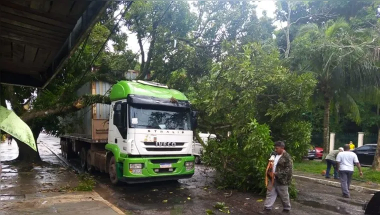 Imagem ilustrativa da notícia Carreta derruba árvore e atinge fiação elétrica em Belém