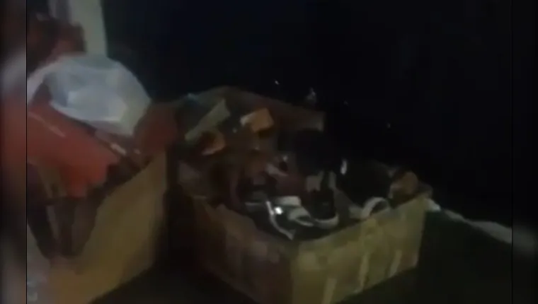 Imagem ilustrativa da notícia  Loja de Belém danifica e joga sapatos que podiam ser doados
