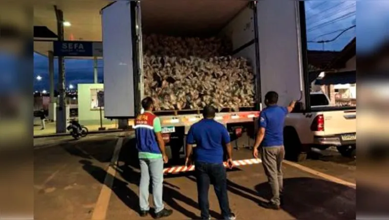 Imagem ilustrativa da notícia Mais de 20 toneladas de pescado são apreendidas no Pará