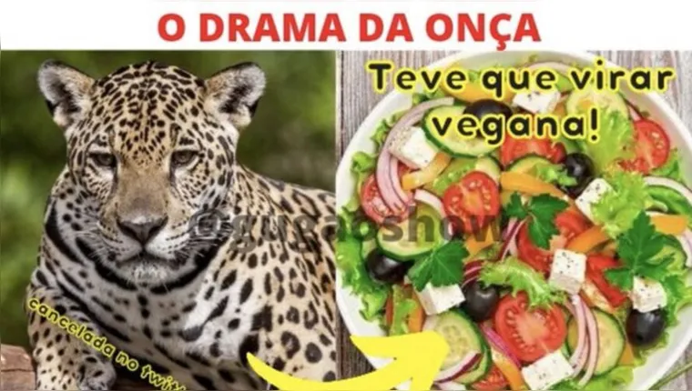 Imagem ilustrativa da notícia Onça-pintada é 'cancelada' por comer capivara; entenda!