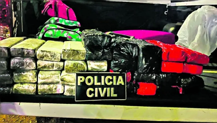 Imagem ilustrativa da notícia Trabalho de apreensão de drogas triplicou no Pará