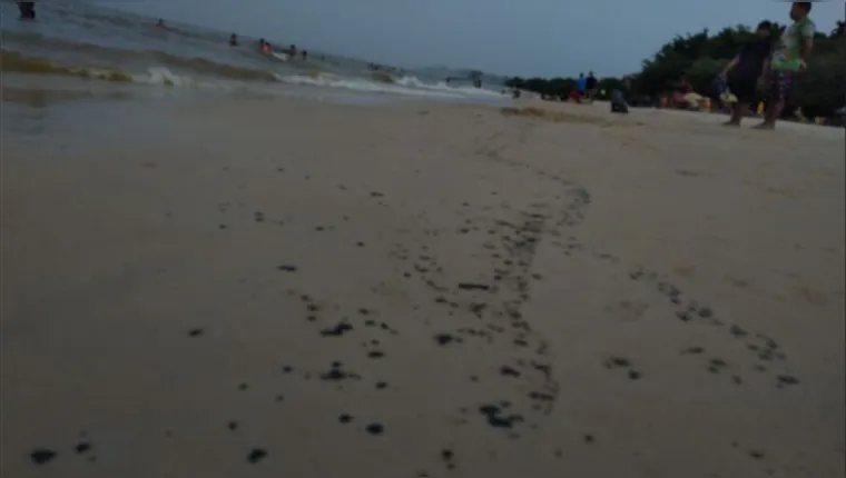 Imagem ilustrativa da notícia Manchas de óleo aparecem em praia de Outeiro