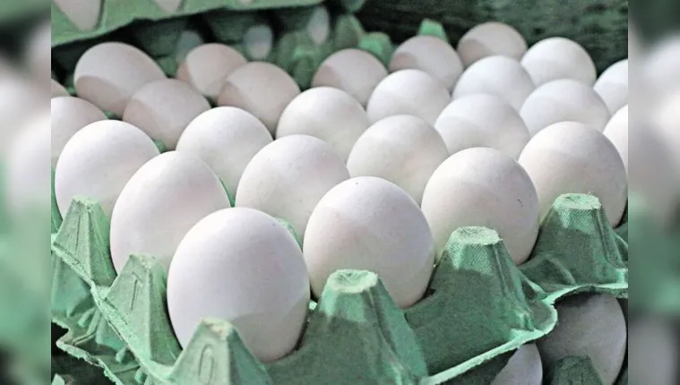 Imagem ilustrativa da notícia Uma dúzia de ovos já passa de R$ 10 em Belém