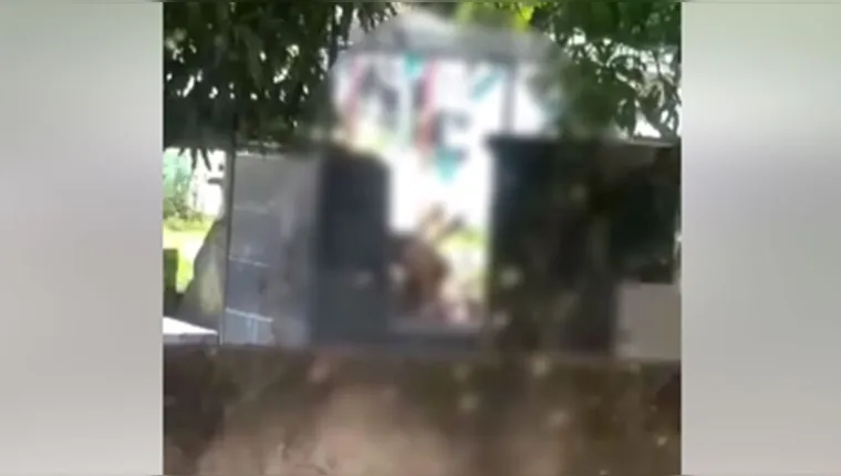 Imagem ilustrativa da notícia Vídeo: casal é flagrado transando em cemitério no Pará