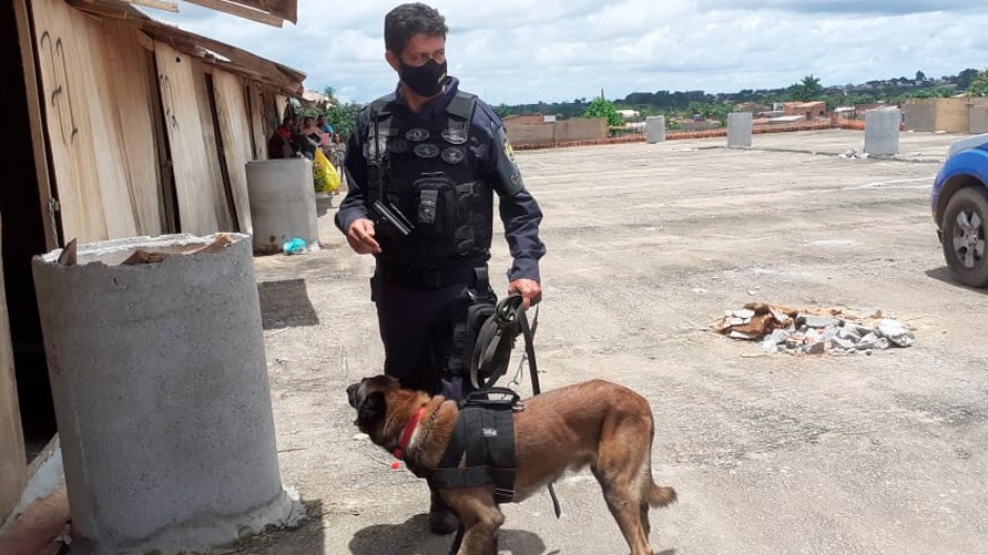 Agentes da guarda apreenderam entorpecente, com a ajuda do cão farejador Sadham