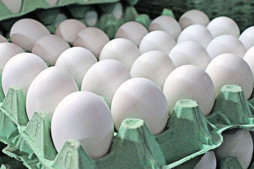 Uma dúzia de ovos já passa de R$ 10 na Grande Belém.