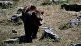 O ataque ocorreu na Base Conjunta Elmendorf-Richardson, em Anchorage, no Alasca.