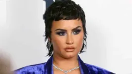 Demi Lovato mudou novamente a sua descrição nas redes sociais.