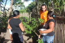 Imagem ilustrativa da notícia Projeto Imaflora incentiva produção sustentável no Pará