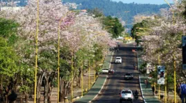 O município de Parauapebas é conhecido por estar assentamento na maior província mineral do planeta, a Serra dos Carajás