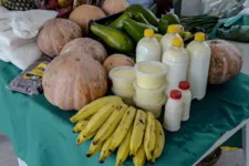 Alimentos básicos produzidos por pequenos produtores no Estado