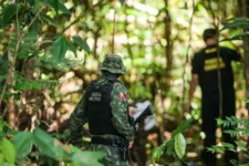 Equipes trabalhando no combate ao desmatamento.