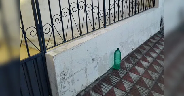 Imagem ilustrativa da notícia Garrafas pet com água no portão. Você sabe para que serve?