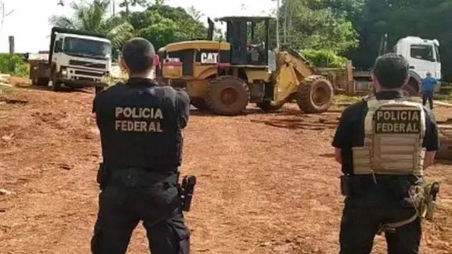 Imagem ilustrativa da notícia PF realiza operação de combate ao desmatamento em Altamira