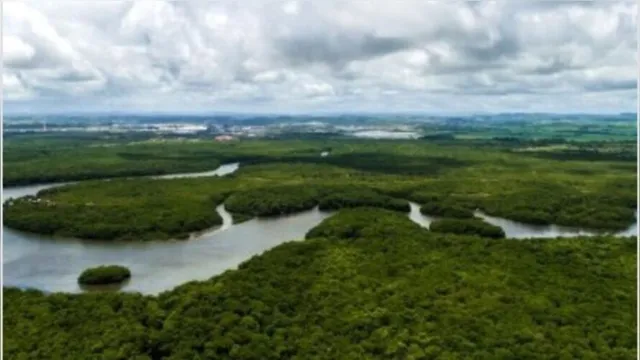 Imagem ilustrativa da notícia Amazônia: congresso debaterá biodiversidade e biotecnologia