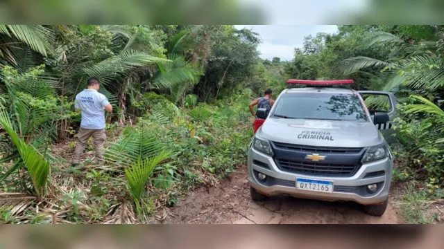 Imagem ilustrativa da notícia Ossada Humana é encontrada no interior do Pará