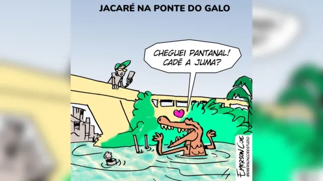 Imagem ilustrativa da notícia Jacaré erra o caminho e surge no Canal do Galo