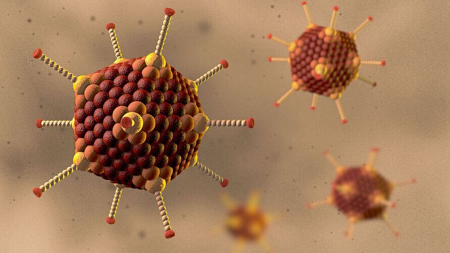 Cientistas tentam achar solução para a hepatite misteriosa.