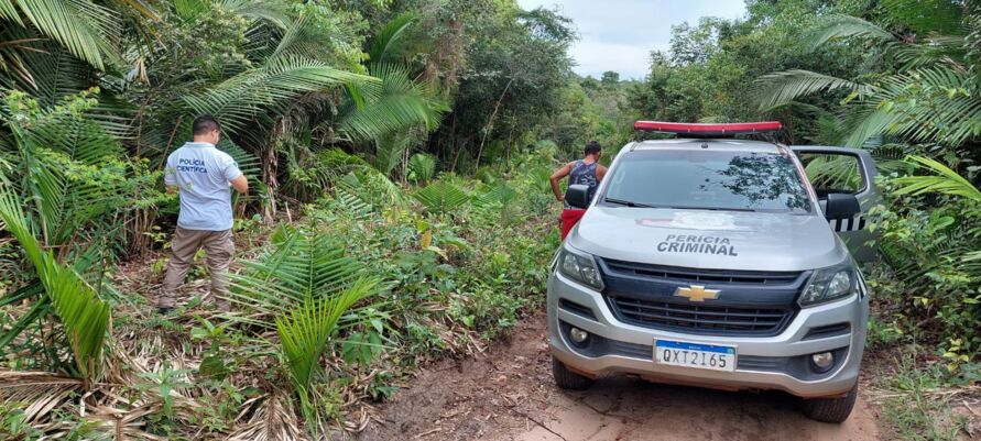 Imagem ilustrativa da notícia: Ossada Humana é encontrada no interior do Pará