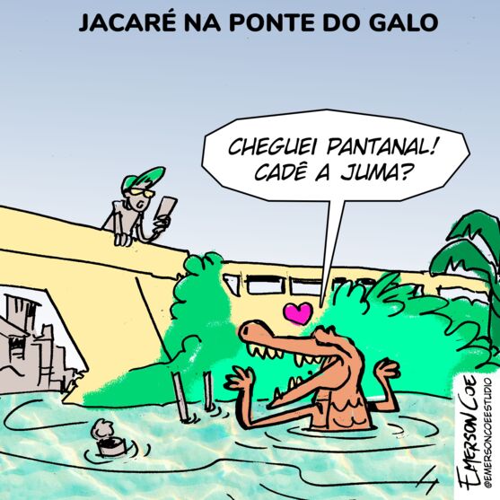 Imagem ilustrativa da notícia: Jacaré erra o caminho e surge no Canal do Galo